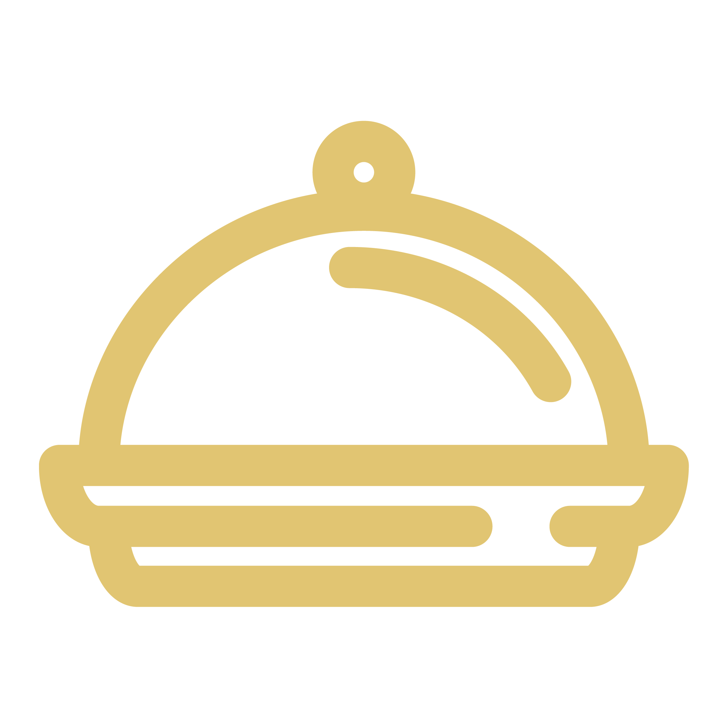 icons_Buffet Options Yellow (002)